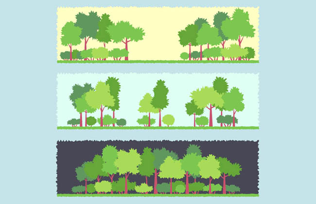 风景绿色树木森林大树矢量素材