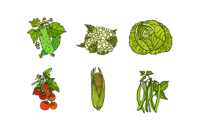 矢量手绘蔬菜造型素材下载