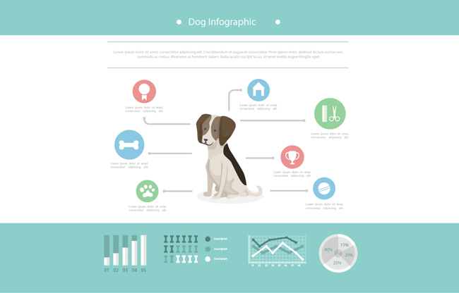 狗的信息图表