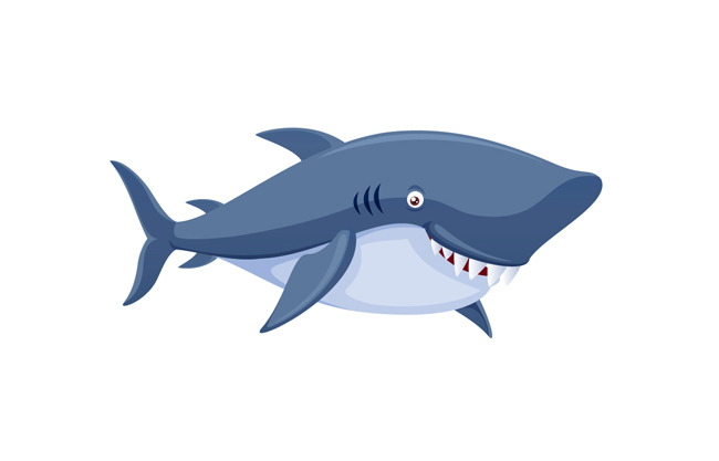 鲨鱼卡通动物设计