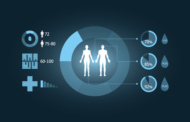 深蓝色人体数据图表矢量设计