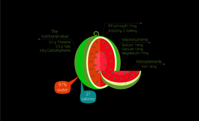 西瓜水果信息图表