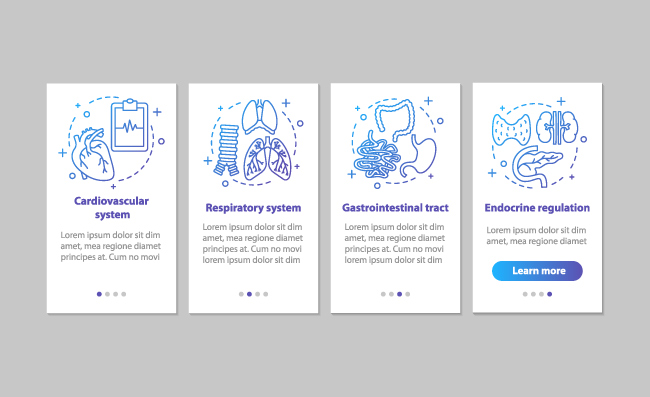 线性人体解剖呼吸和心血管系统胃肠道内分泌调节界面矢量应用程序页面屏幕信息图表