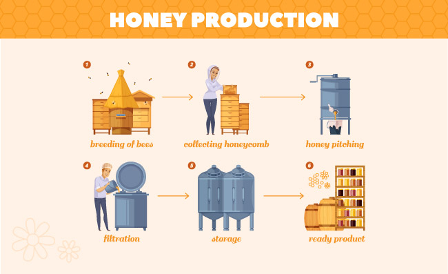 蜂蜜生产工艺卡通流程从蜜蜂繁殖的养蜂场蜂蜜生产收集蜂窝到存贮的步骤图解
