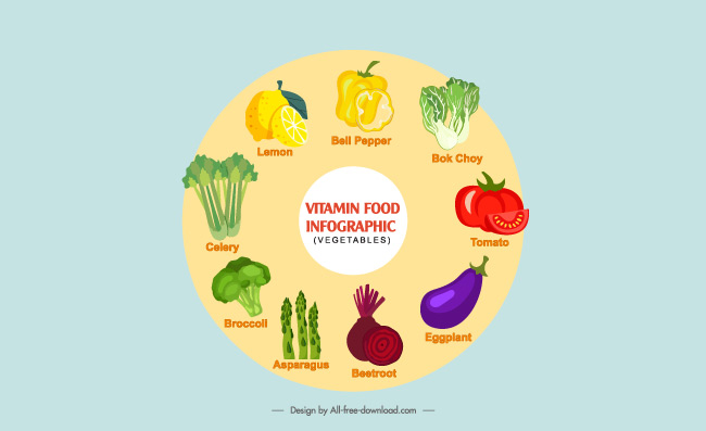 健康生活美食蔬菜矢量