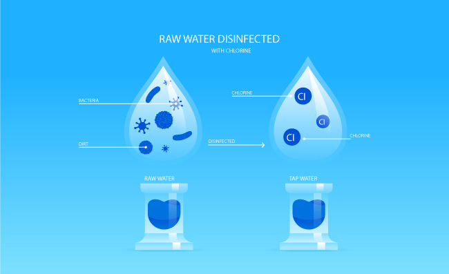 用氯消毒的原水元素矢量