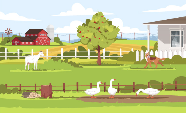 牲畜和家禽牧场外的花园农村生活方式夏季绿化农田2D卡通景观白天农场半平面矢量插图